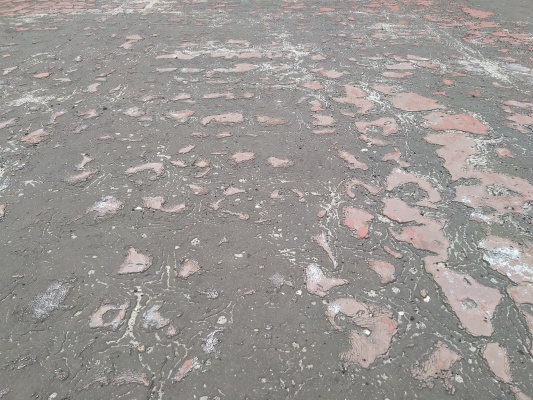 Стадион Авангард - 28.jpg